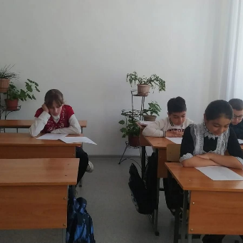 оррдо7.png